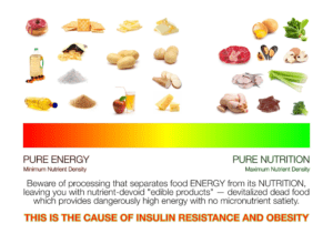 Dr Ted Naiman's diet diagram